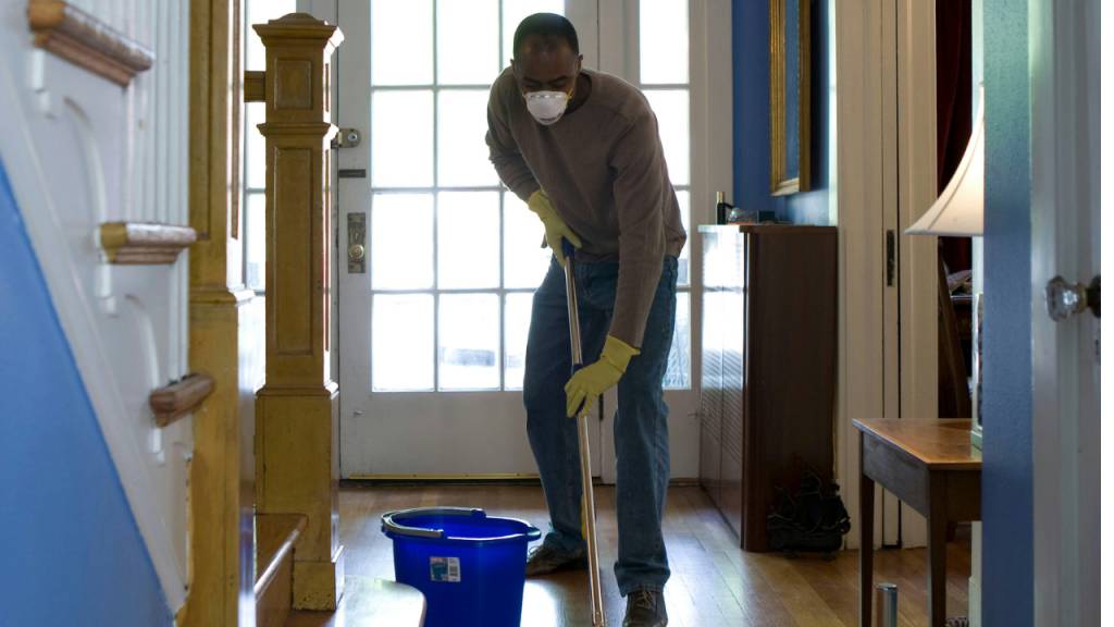 Como eliminar traças do guarda-roupa de vez com um guia simples de 4 passos