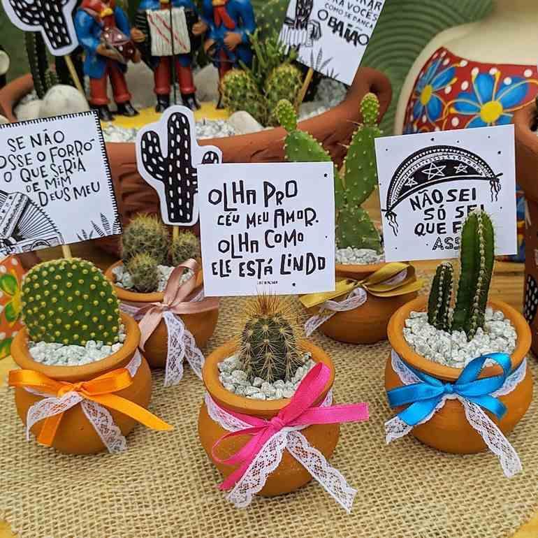 V&aacute;rios cactos pequenos em vasos de barro decorados com la&ccedil;os de fita coloridos e renda branca, sobre um tecido de juta. H&aacute; plaquinhas com frases juninas e desenhos de cactos e sanfonas, e bonecos de forrozeiros ao fundo.