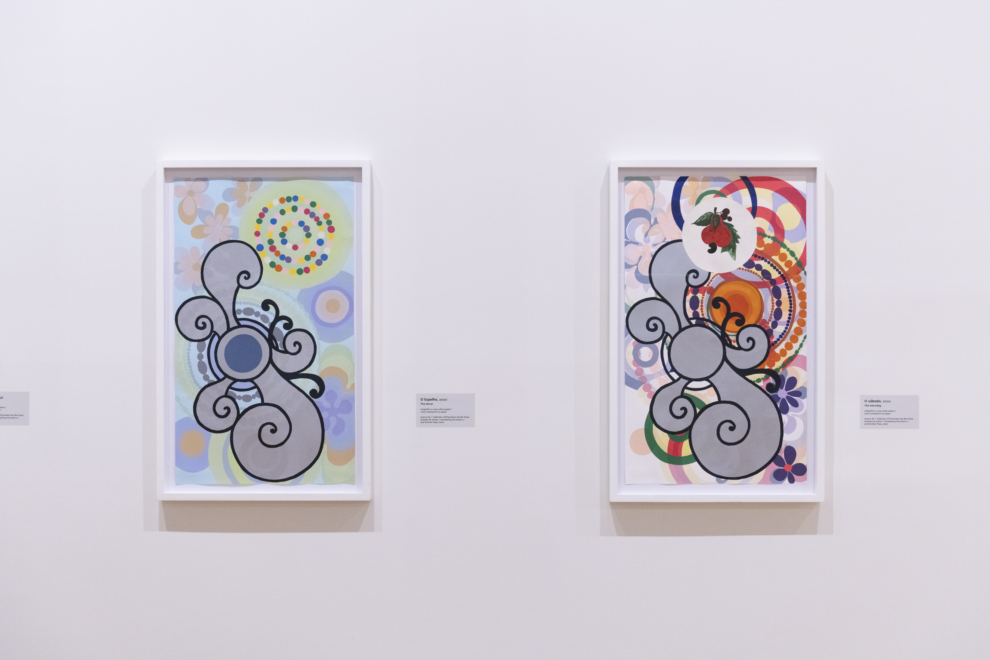 Duas obras de arte abstratas emolduradas com fundo branco, exibindo formas org&acirc;nicas cinzas com contornos pretos e espirais, sobrepostas a padr&otilde;es coloridos de c&iacute;rculos, flores e pontos. A obra da esquerda tem tons past&eacute;is e pontos coloridos, enquanto a da direita possui cores vibrantes, um sol laranja e uma fruta vermelha