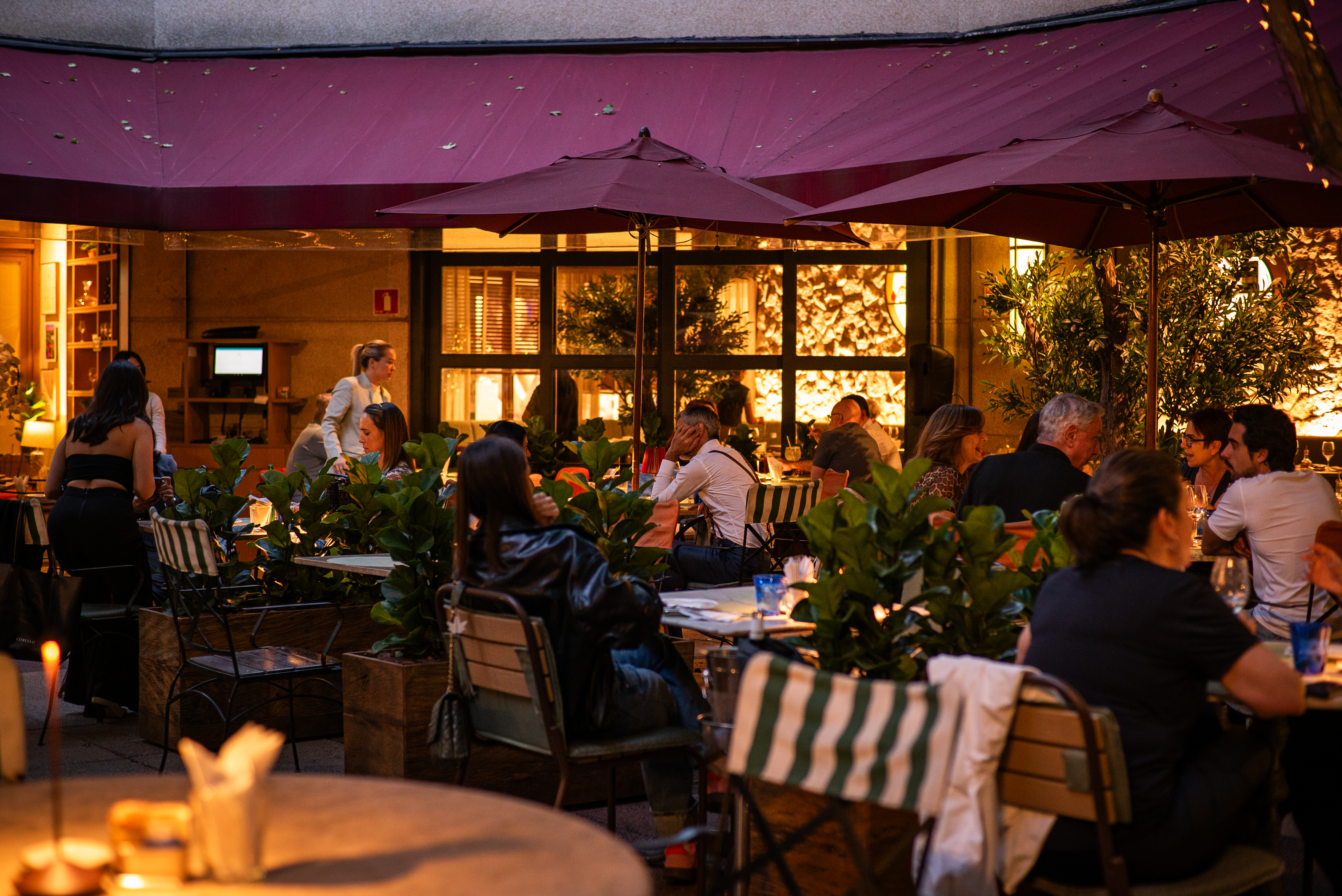 Pessoas sentadas em mesas de um restaurante ao ar livre, com guarda-s&oacute;is vinho e plantas verdes entre as mesas, sob luzes quentes