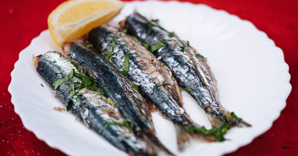 O truque dos chefs: como escolher a sardinha certa para cada tipo de receita