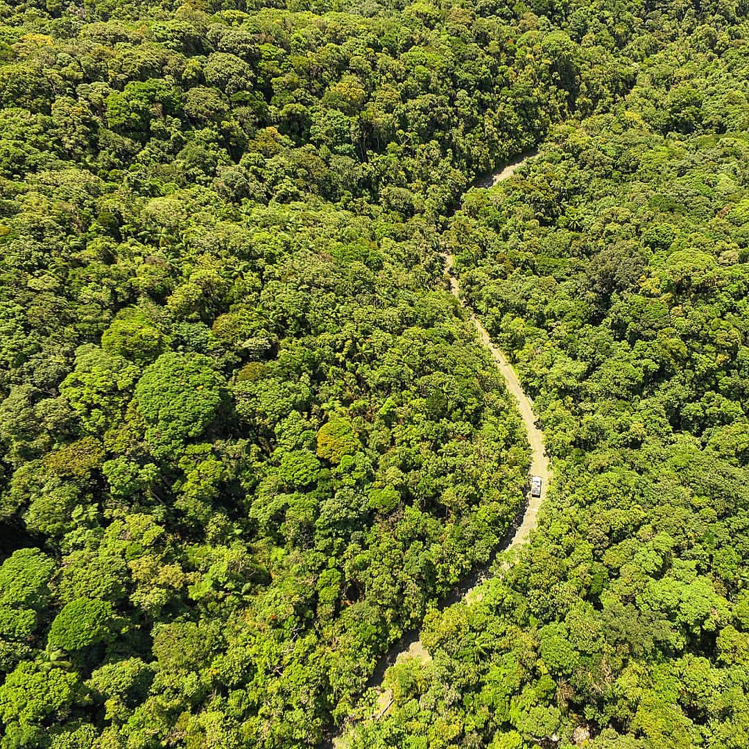 Vista a&eacute;rea de uma densa floresta tropical verde, com uma estrada de terra sinuosa cortando a vegeta&ccedil;&atilde;o. Um carro branco pequeno trafega pela estrada, que se estende at&eacute; o horizonte, cercada por &aacute;rvores exuberantes sob um c&eacute;u claro
