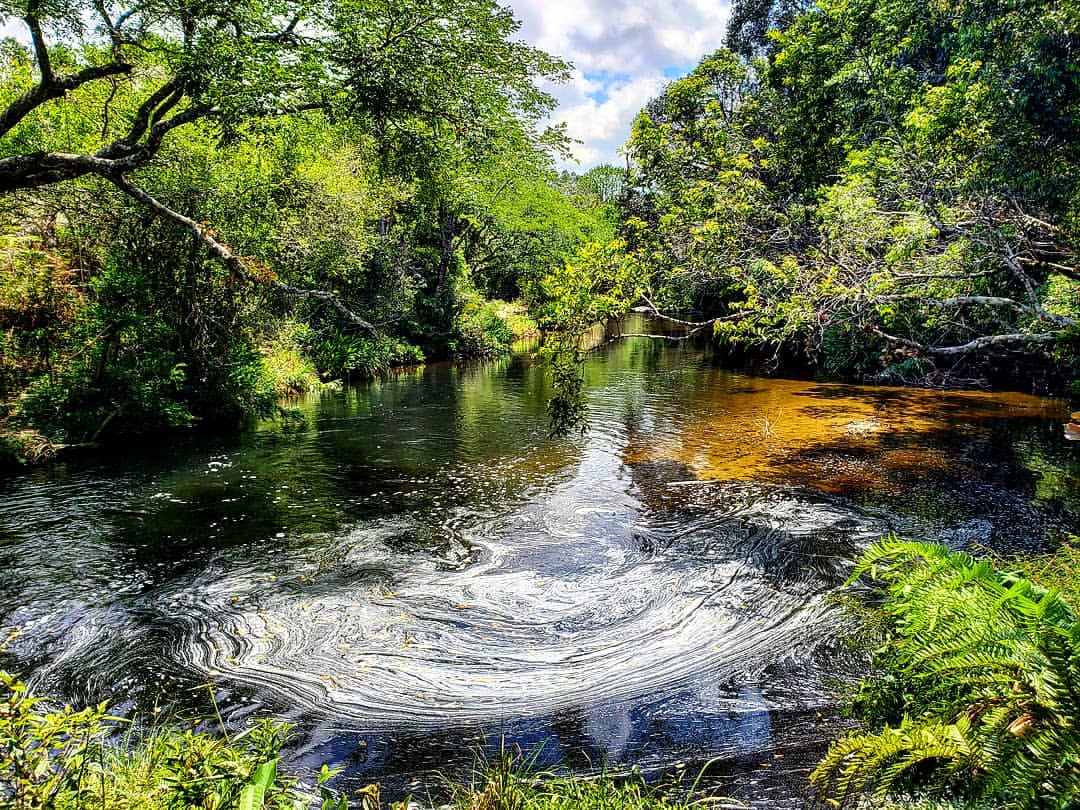 Rio escuro com espuma branca em redemoinhos, cercado por densa vegeta&ccedil;&atilde;o verde e &aacute;rvores frondosas sob um c&eacute;u azul com nuvens brancas