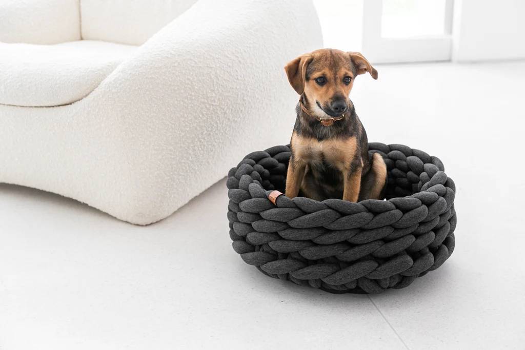 Cachorro de porte m&eacute;dio, com pelos marrons e pretos, sentado em uma cama redonda de tecido cinza tran&ccedil;ado. Ele usa uma coleira marrom e dourada, com uma etiqueta de couro. Ao fundo, um sof&aacute; branco texturizado e uma janela clara, em um ambiente minimalista