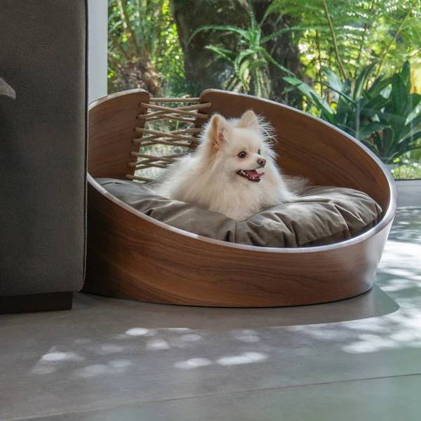 Cachorro da ra&ccedil;a Lulu da Pomer&acirc;nia, de pelagem branca e fofa, deitado em uma cama de madeira curvada com almofada cinza, sorrindo com a l&iacute;ngua para fora. Ao fundo, plantas verdes e luz solar refletida no ch&atilde;o cinza