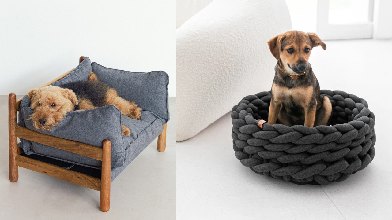 Dois cães em camas diferentes: um terrier deitado em uma cama cinza com estrutura de madeira, e um filhote marrom e preto sentado em uma cama redonda de tricô cinza escuro