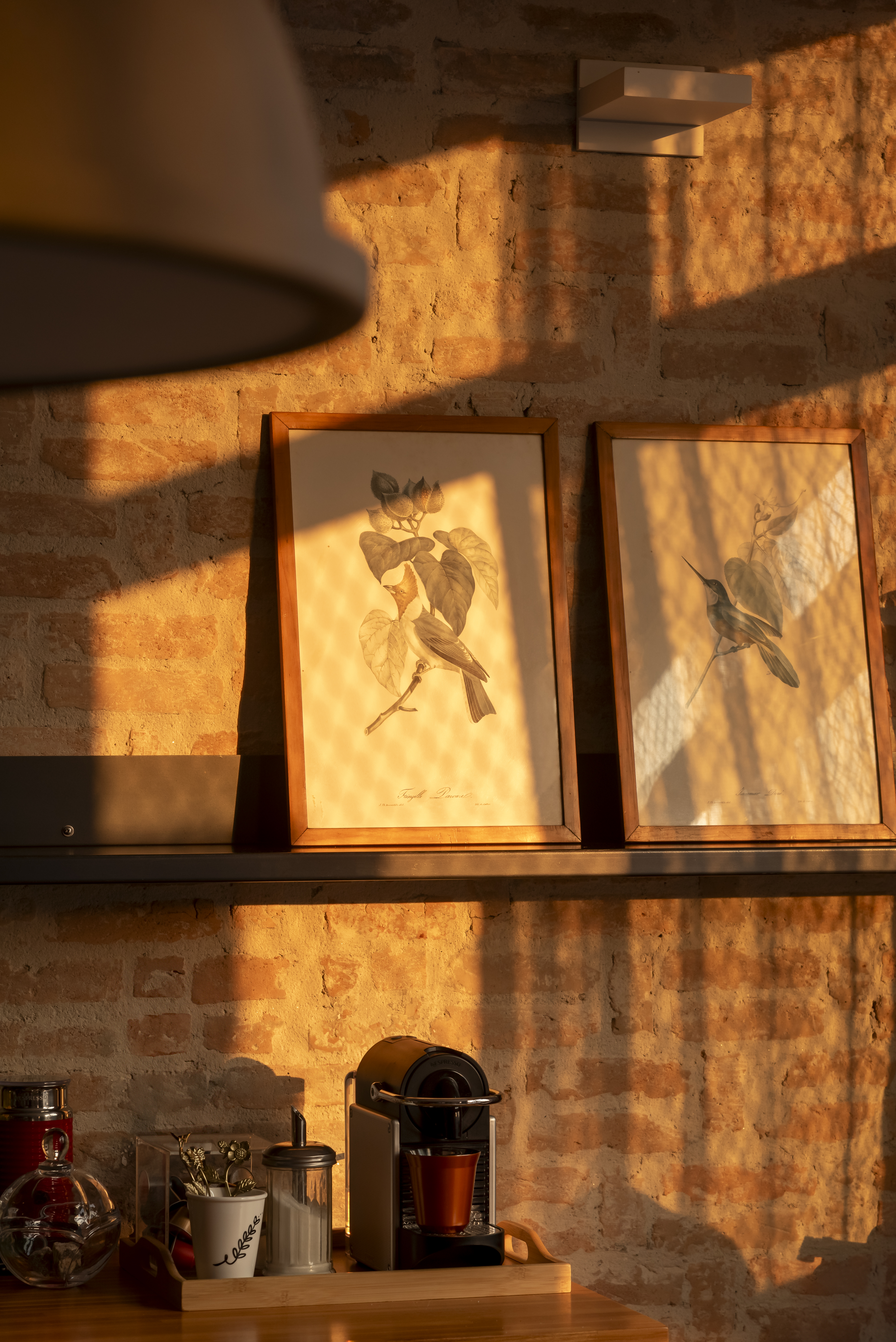 Dois quadros com ilustra&ccedil;&otilde;es de p&aacute;ssaros em galhos sobre uma prateleira escura, com uma m&aacute;quina de caf&eacute; e utens&iacute;lios abaixo. A parede de tijolos aparentes &eacute; iluminada por um sol alaranjado que projeta sombras diagonais, criando um ambiente acolhedor